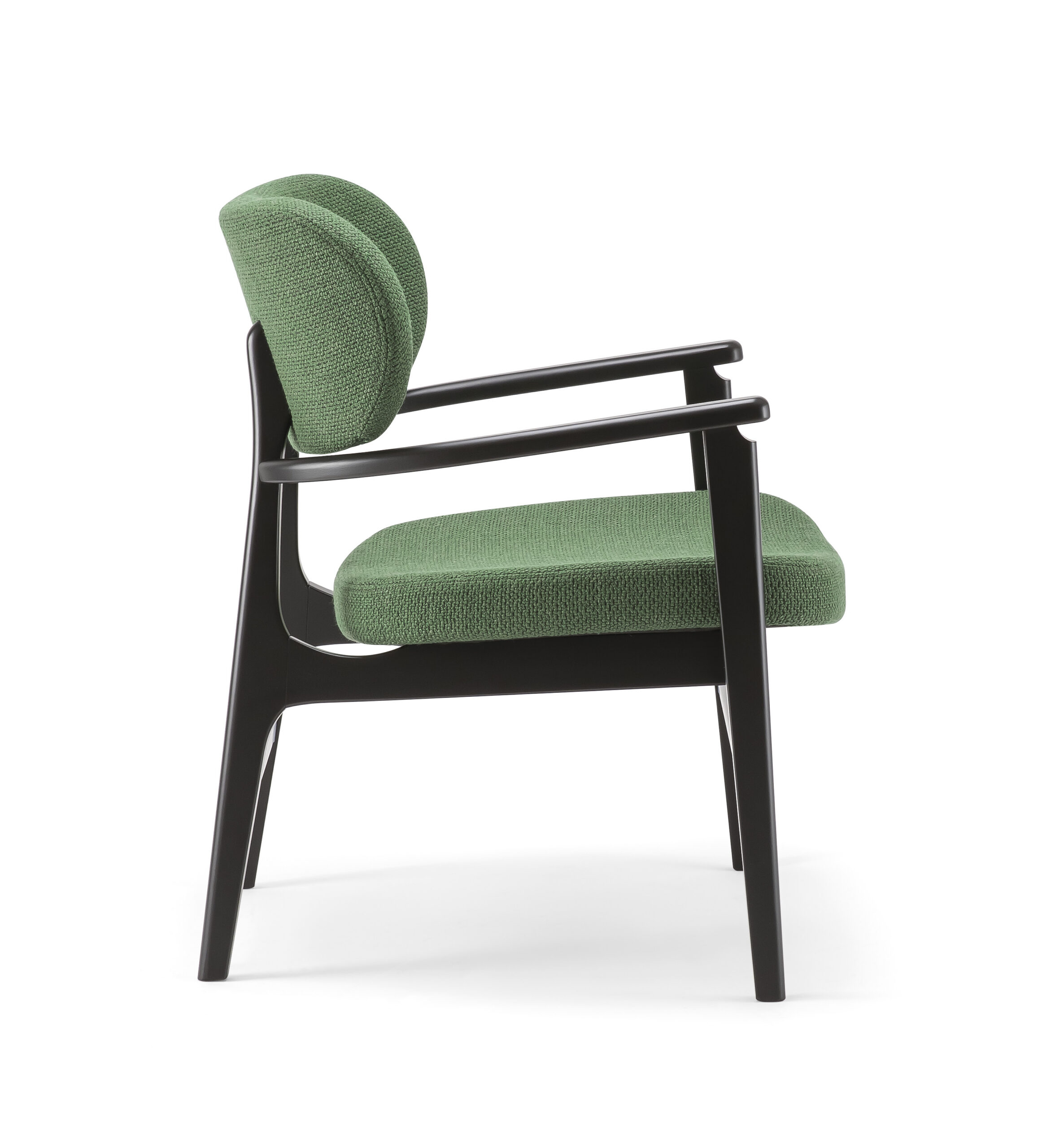 Ana Lounge Chair - Image 4